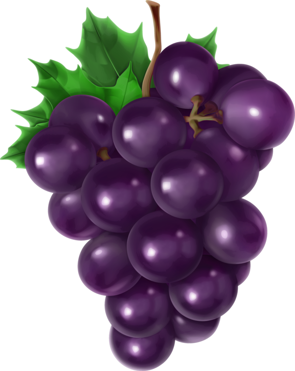 Transparent Grape Fruit Harvest for Thanksgiving