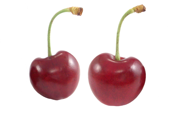 Transparent Cherry Food Fruit for Thanksgiving