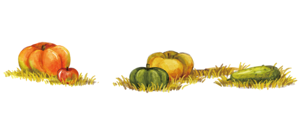 Transparent Calabaza Winter Squash Autumn Vegetarian Food Food for Thanksgiving