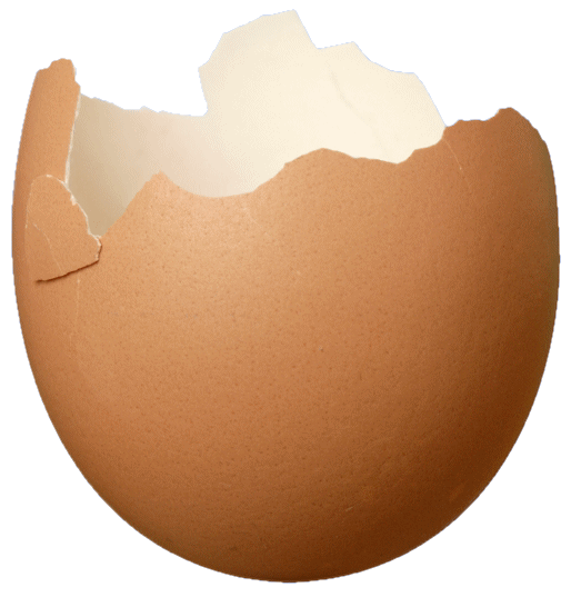 Transparent Egg Eggshell Food Peach for Easter