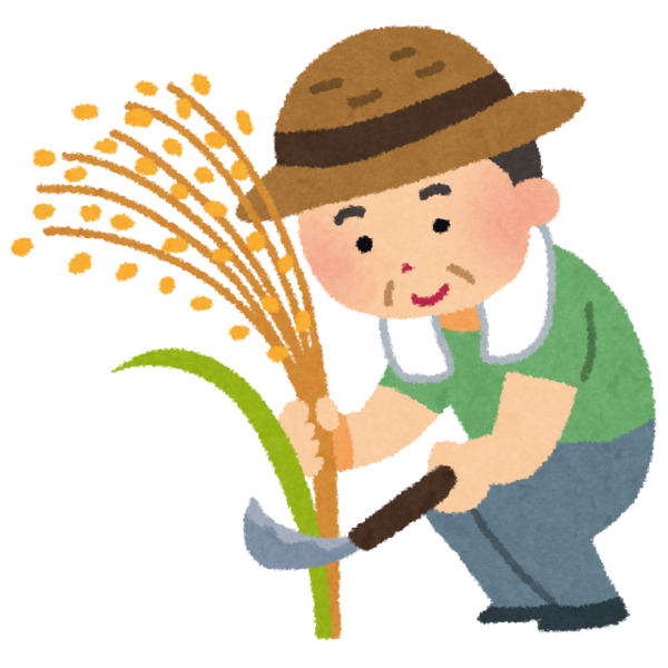 Transparent Rice Harvest Agriculture Cartoon Male for Thanksgiving