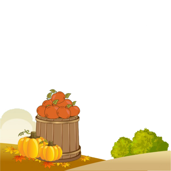 Transparent Cucurbita Pepo Pumpkin Autumn Food Fruit for Thanksgiving