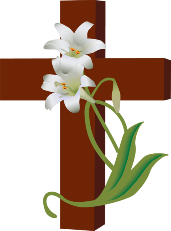 Transparent Bible Easter Religion Plant Flora for Easter