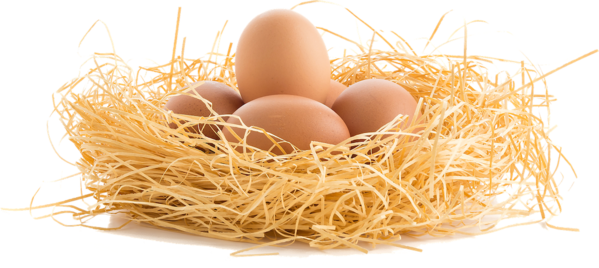Transparent Chicken Bird Egg Straw Bird Nest for Easter