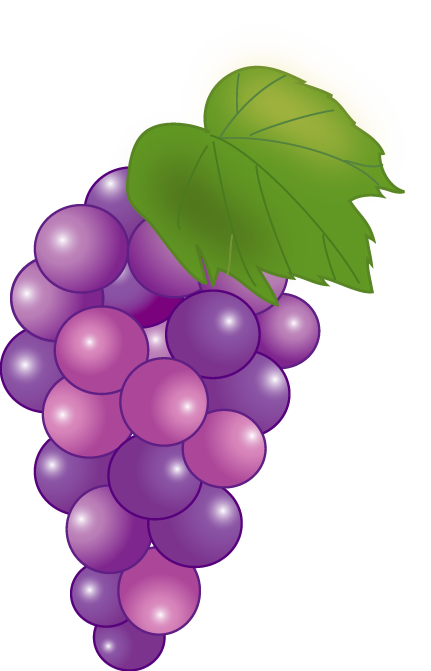 Transparent Grape Seedless Fruit Fruit for Thanksgiving