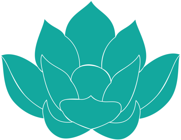 Transparent Symmetry Axial Symmetry Nelumbo Nucifera Plant Flower for Diwali