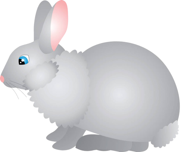Transparent Easter Bunny Cartoon Rabbit Hare Snout for Easter