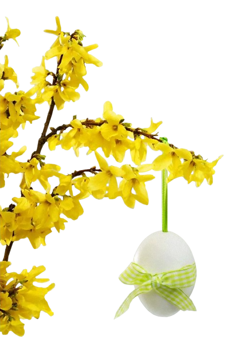 Transparent Easter Easter Egg Hit Flower Yellow for Easter