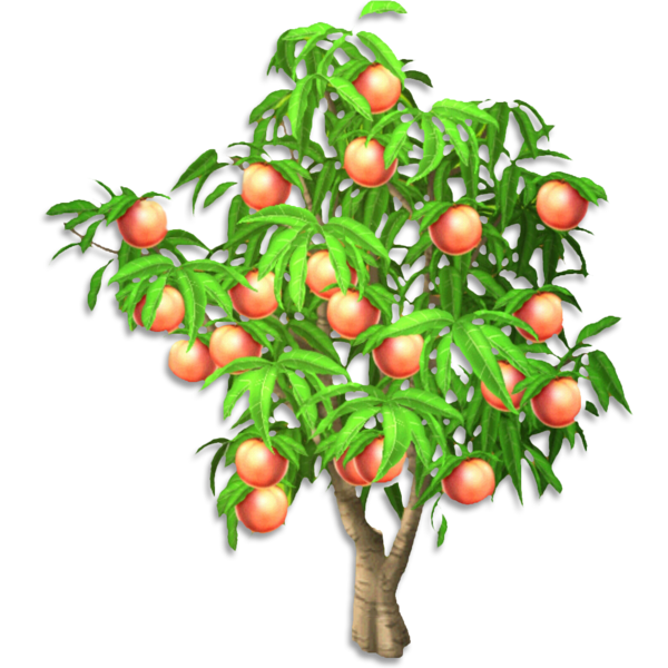 Transparent Hay Day Peach Tree Tomato Plant for Thanksgiving