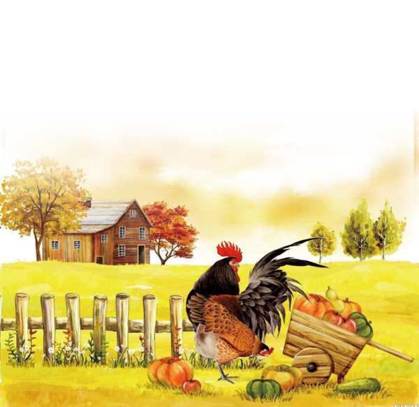 Transparent Autumn Poster Farm Yellow Rooster for Thanksgiving