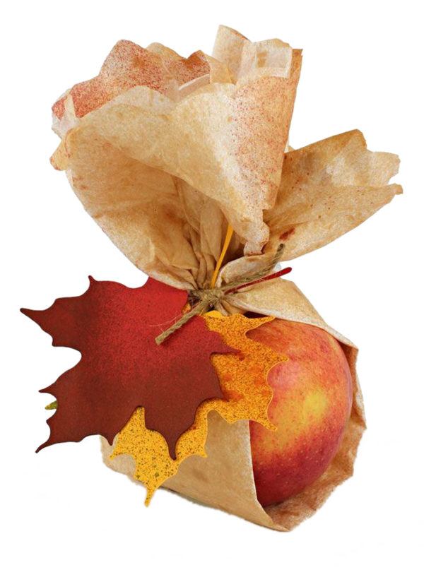 Transparent Paper Autumn Gift Petal Fruit for Thanksgiving