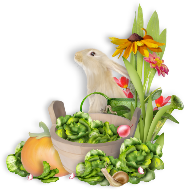 Transparent Vegetable Depositfiles Blog Flower Food for Easter