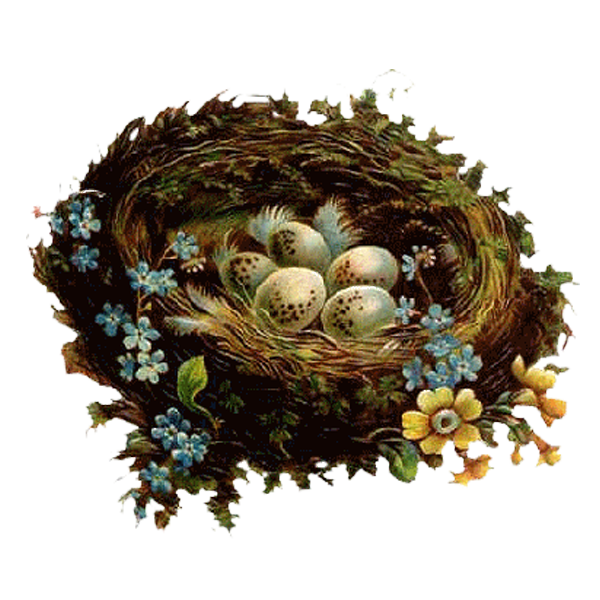 Transparent Easter Party Blog Egg Nest for Easter