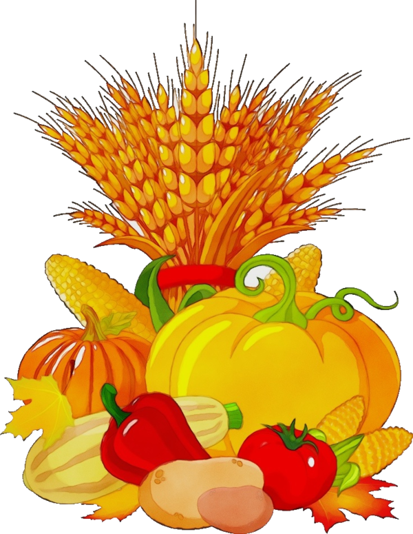 Transparent Harvest Festival Festival Harvest Natural Foods Orange for Thanksgiving