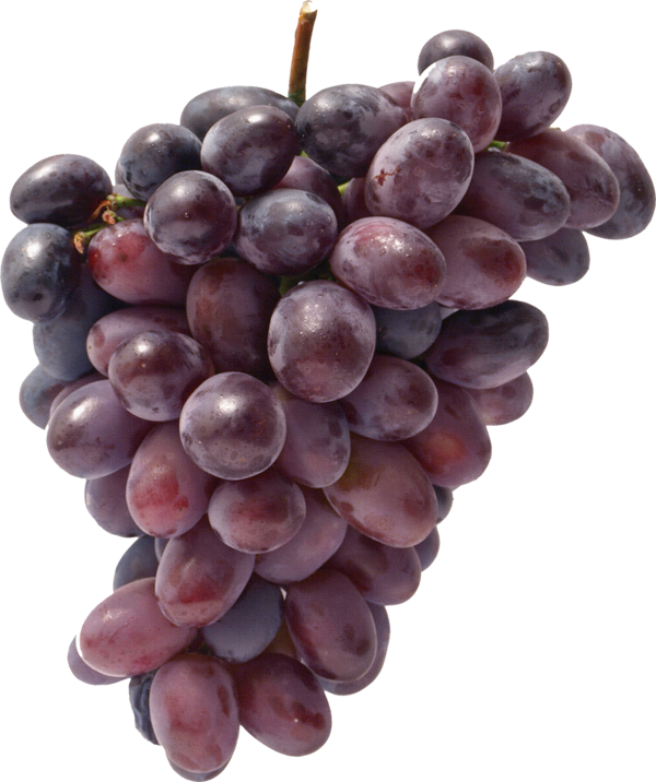 Transparent Common Grape Vine Grape Food Seedless Fruit Grape Seed Extract for Thanksgiving