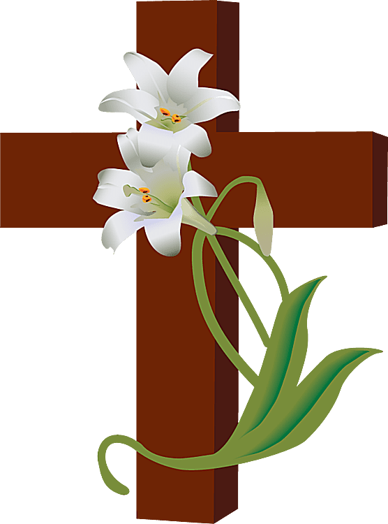 Transparent Easter Lily Christian Cross Cross Plant Flora for Easter