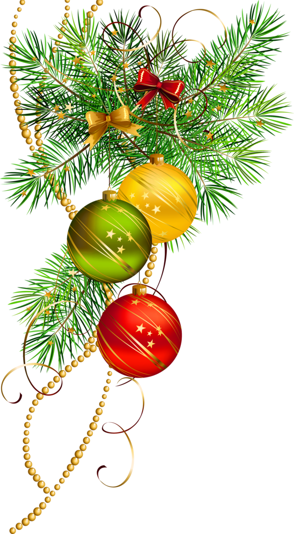 Transparent Christmas Christmas Ornament Christmas Tree Evergreen Fir for Christmas