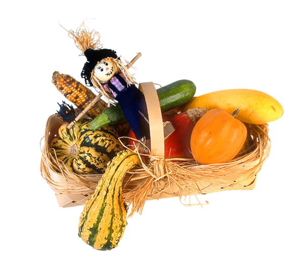 Transparent Vegetable Crop Harvest Food for Thanksgiving