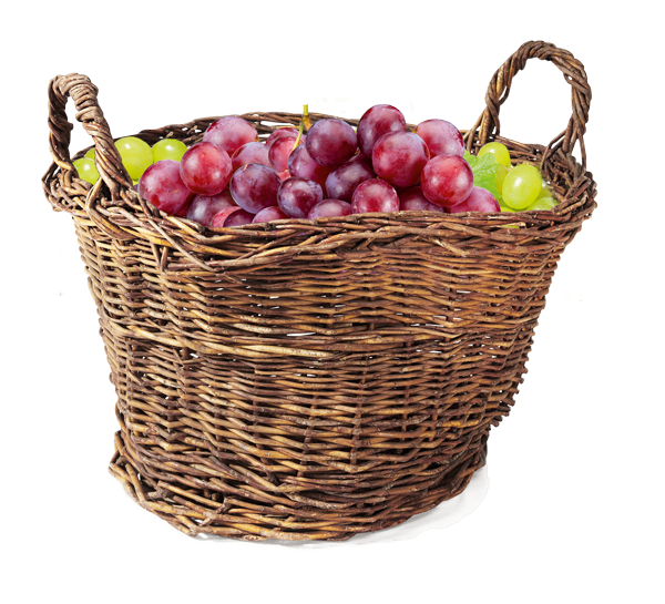 Transparent Grape Fruchtsaft Beckers Bester Gmbh Basket Fruit for Thanksgiving