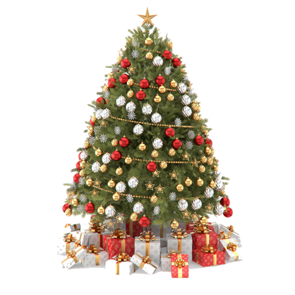 Transparent Christmas Tree Christmas Tree Fir Pine Family for Christmas