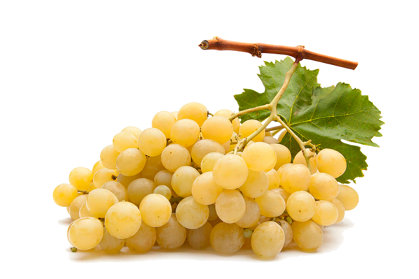 Transparent Wine Muscat Grape Fruit for Thanksgiving