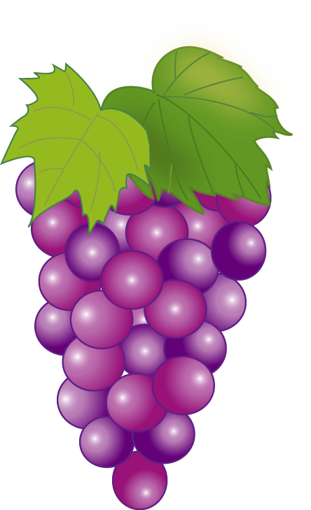 Transparent Grape Seedless Fruit Harvest Fruit for Thanksgiving