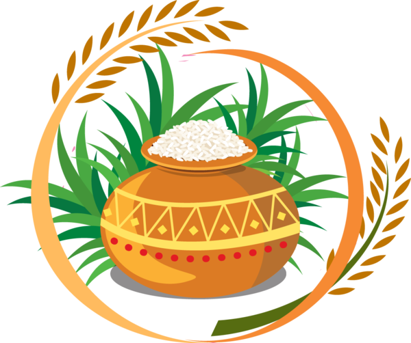 Transparent Thai Pongal Harvest Festival Tamils Cuisine Commodity for Thanksgiving