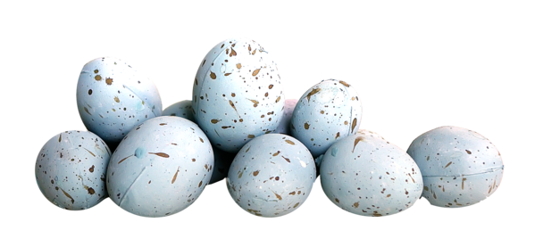 Transparent Bird Eggs Egg Duck Easter Egg for Easter