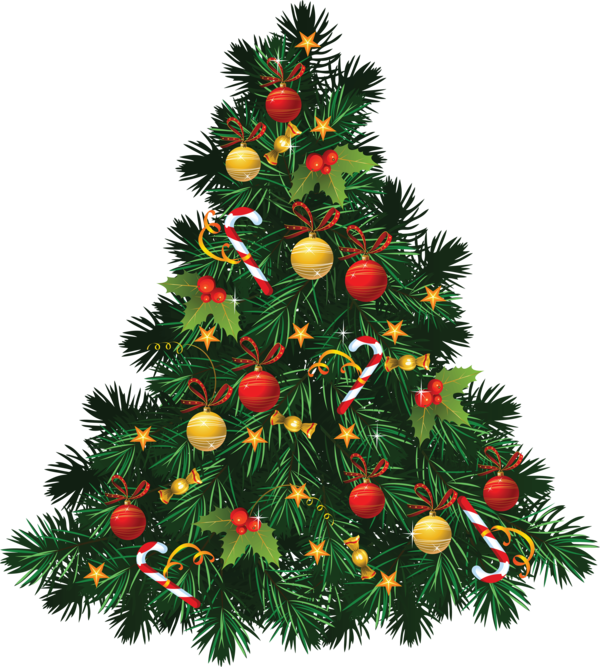 Transparent Christmas Tree Christmas Christmas Ornament Evergreen Pine Family for Christmas