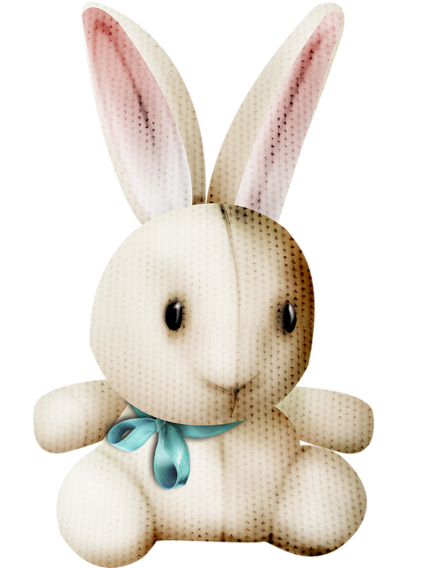 Transparent Rabbit Doll Toy Stuffed Toy Easter Bunny for Easter