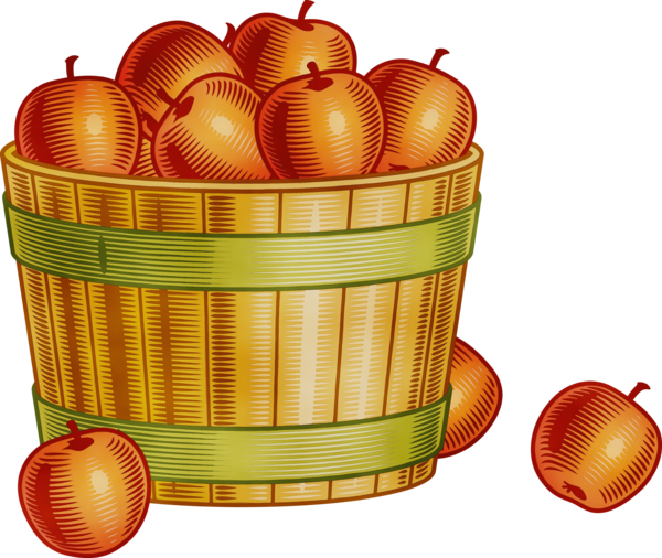 Transparent Harvest Basket Of Apples Painting Fruit Plant for Thanksgiving