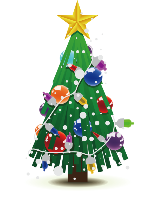 Transparent Christmas Christmas Tree Drawing Fir Pine Family for Christmas