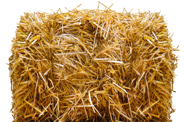 Transparent Strawbale Construction Hay Straw Grass Family Grass for Thanksgiving