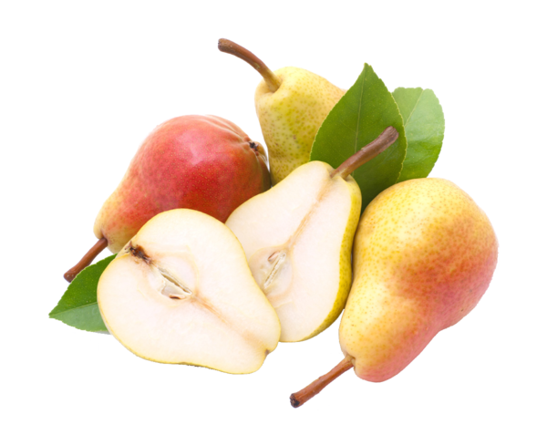 Transparent Fruit Asian Pear Fruit Tree Apple Food for Thanksgiving