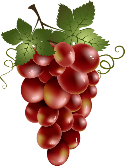 Transparent Common Grape Vine Wine Red Wine Sultana Zante Currant for Thanksgiving