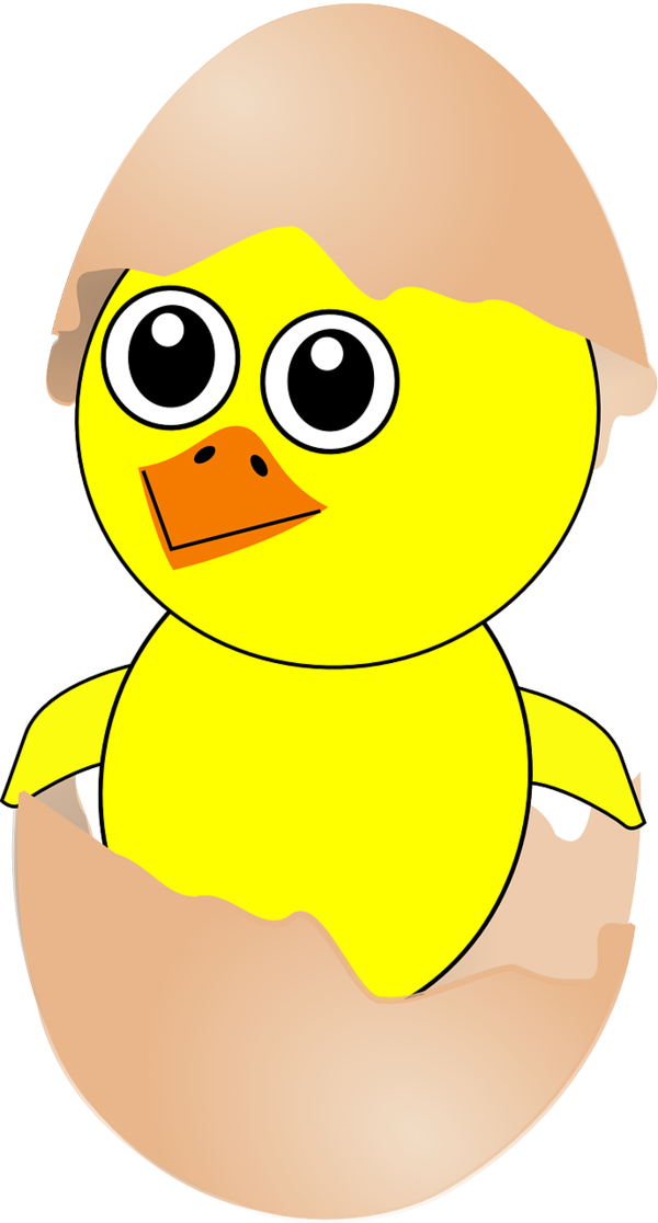 Transparent Chicken Cartoon Easter Emoticon Water Bird for Easter