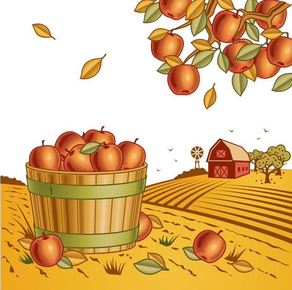 Transparent Harvest Farm Harvest Festival Vegetarian Food Apple for Thanksgiving