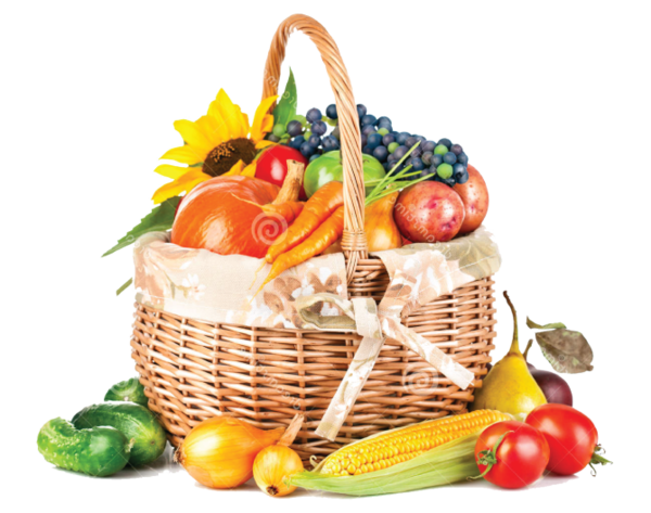 Transparent Fruit Harvest Vegetable Superfood Vegetarian Food for Thanksgiving