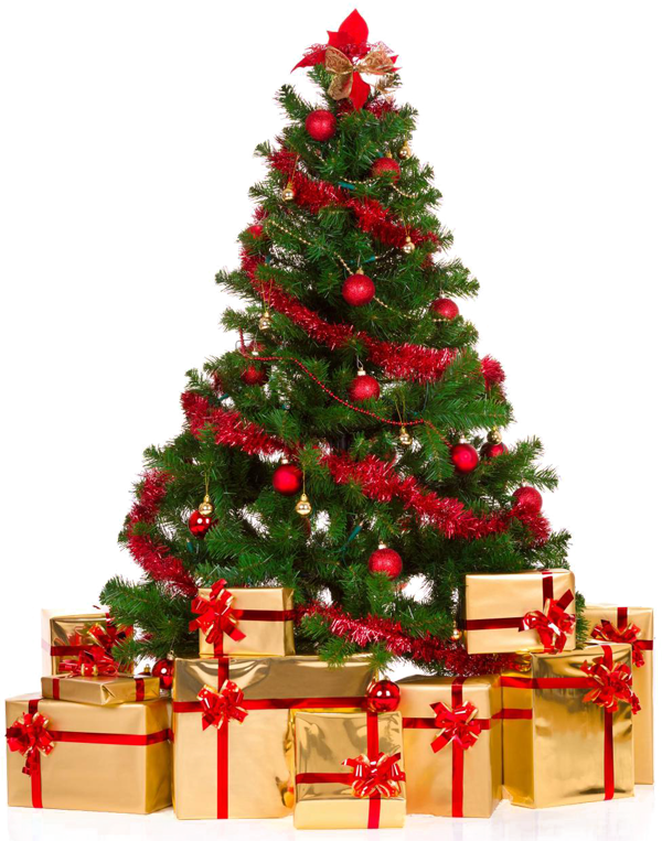 Transparent Christmas Tree Christmas Decoration Christmas Fir Pine Family for Christmas
