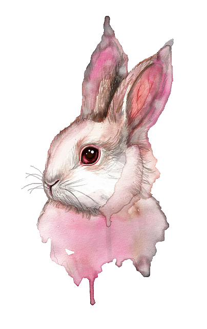 Transparent Watercolor Painting Painting Rabbit Hare Whiskers for Easter