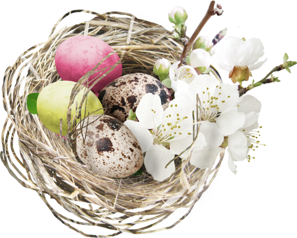 Transparent Egg Nest Easter Flower Floristry for Easter