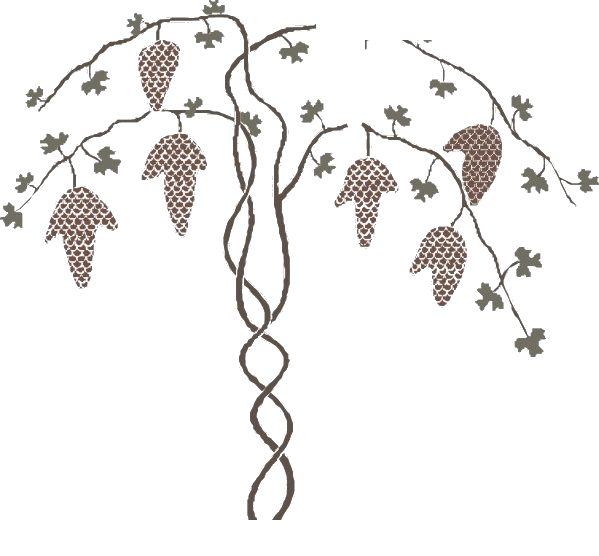 Transparent Windows Metafile Auglis Harvest Festival Tree Branch for Thanksgiving