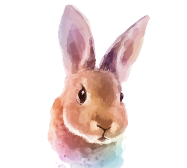 Transparent White Rabbit Watercolor Painting Rabbit Hare for Easter