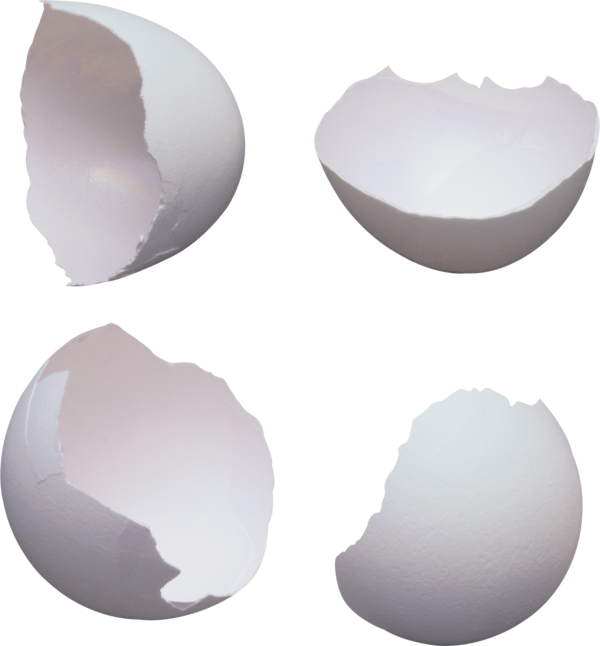 Transparent Chicken Egg Eggshell Sphere for Easter