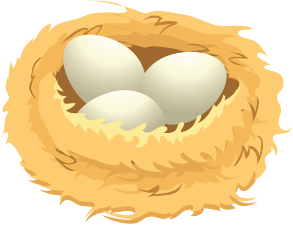 Transparent Bird Nest Egg Circle for Easter