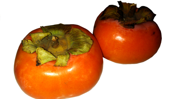 Transparent Persimmon Vegetarian Cuisine Food Fruit Natural Foods for Thanksgiving