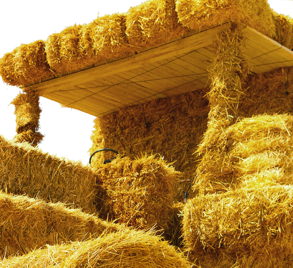 Transparent Hay Straw Advertising Grass Family Commodity for Thanksgiving