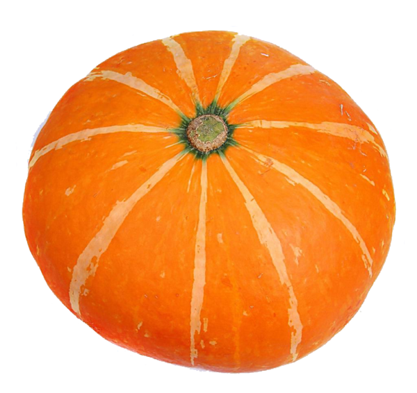 Transparent Pumpkin Pumpkin Pie Jackolantern Vegetarian Food Gourd Order for Thanksgiving