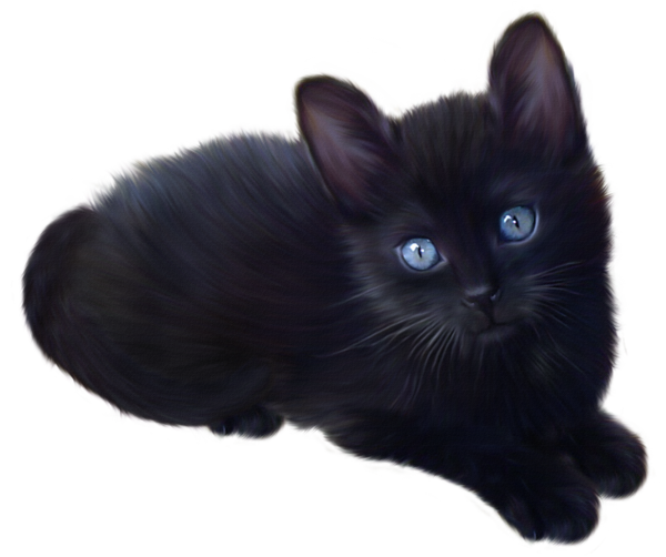 Transparent Kitten Maine Coon Black Cat Snout Fur for Halloween