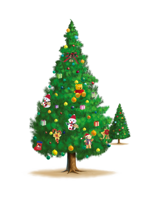 Transparent Christmas Christmas Tree Elements Fir Pine Family for Christmas